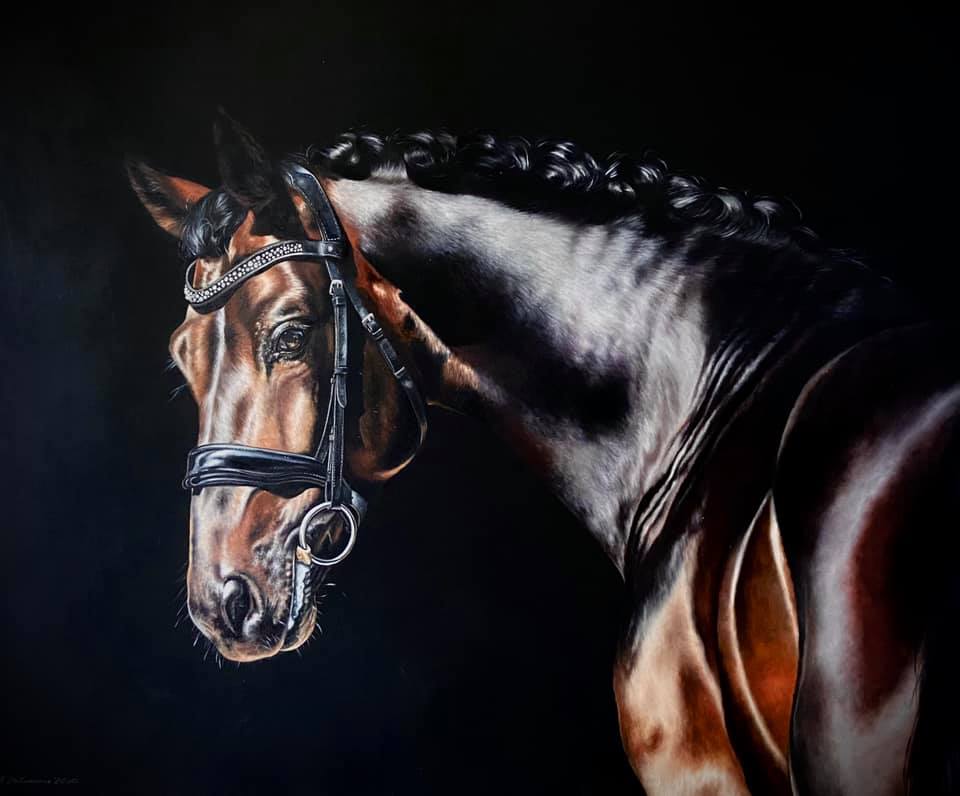 Katarzyna Stefanowicz - Equine Art